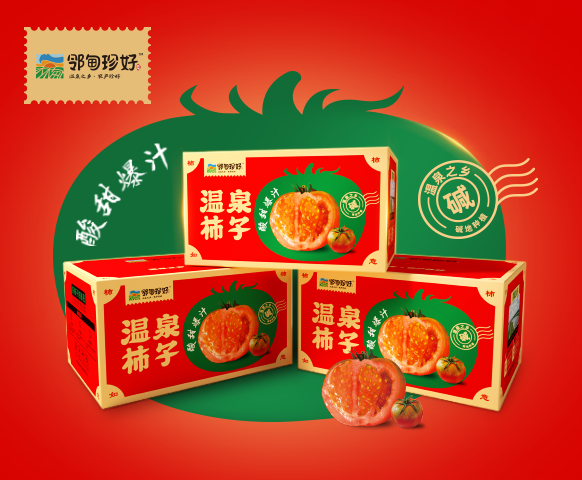 网站案例-林甸珍好.png
